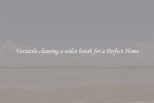 Versatile cleaning a toilet brush for a Perfect Home