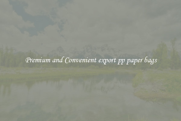 Premium and Convenient export pp paper bags