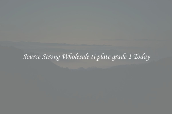Source Strong Wholesale ti plate grade 1 Today