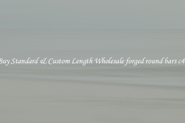 Buy Standard & Custom Length Wholesale forged round bars c45