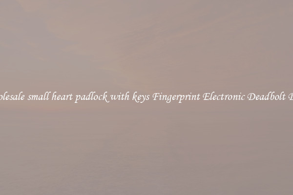 Wholesale small heart padlock with keys Fingerprint Electronic Deadbolt Door 