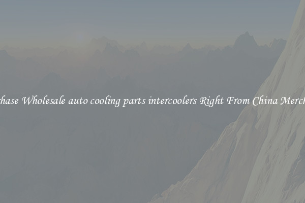 Purchase Wholesale auto cooling parts intercoolers Right From China Merchants