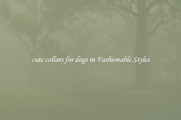 cute collars for dogs in Fashionable Styles