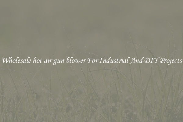 Wholesale hot air gun blower For Industrial And DIY Projects