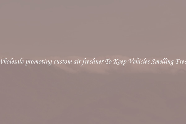 Wholesale promoting custom air freshner To Keep Vehicles Smelling Fresh