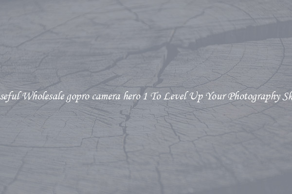 Useful Wholesale gopro camera hero 1 To Level Up Your Photography Skill