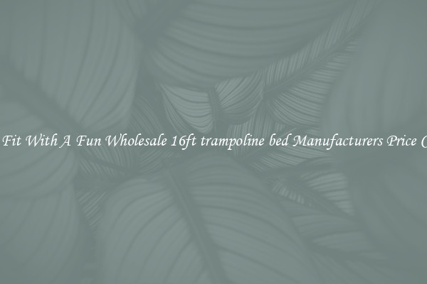 Keep Fit With A Fun Wholesale 16ft trampoline bed Manufacturers Price Cheap 