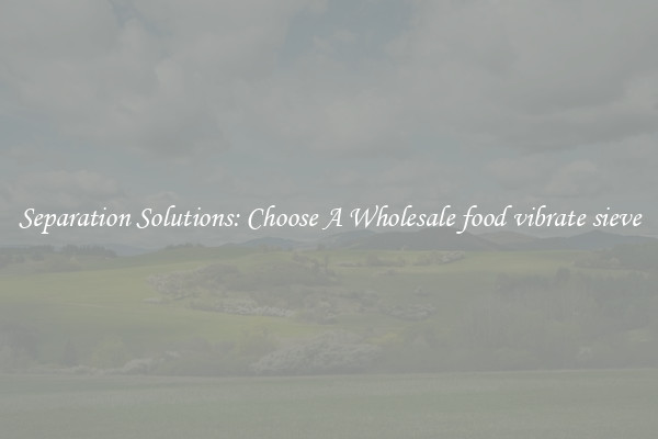 Separation Solutions: Choose A Wholesale food vibrate sieve