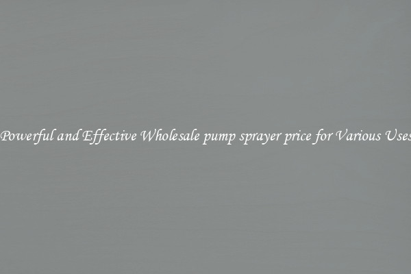 Powerful and Effective Wholesale pump sprayer price for Various Uses