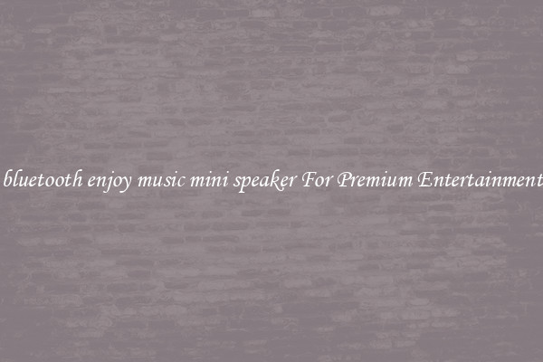 bluetooth enjoy music mini speaker For Premium Entertainment