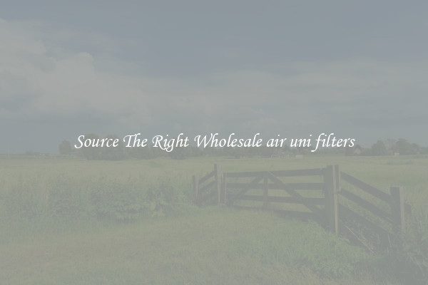 Source The Right Wholesale air uni filters